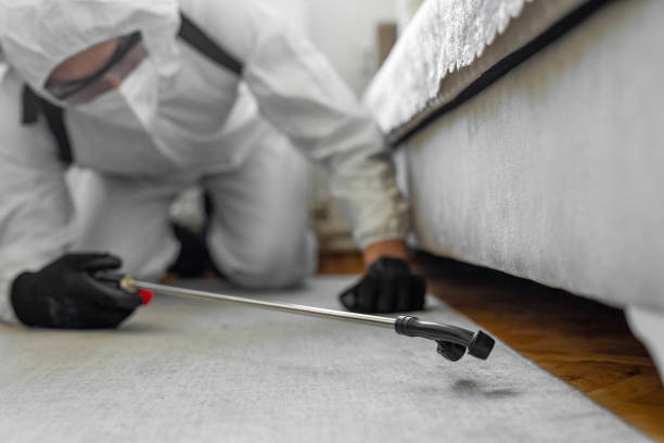 Professional Ant Control technician working in Pomona, NY